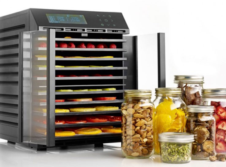 dehydrator excalibur Australia