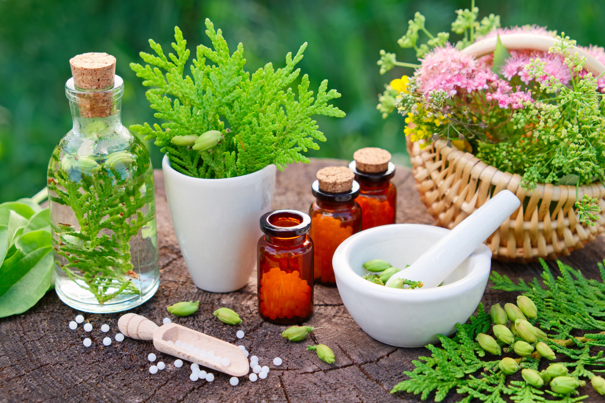 naturopathy clinic mount waverley