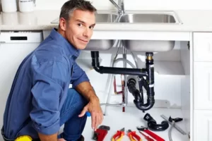  plumber thornleigh