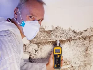  mould inspection Sydney